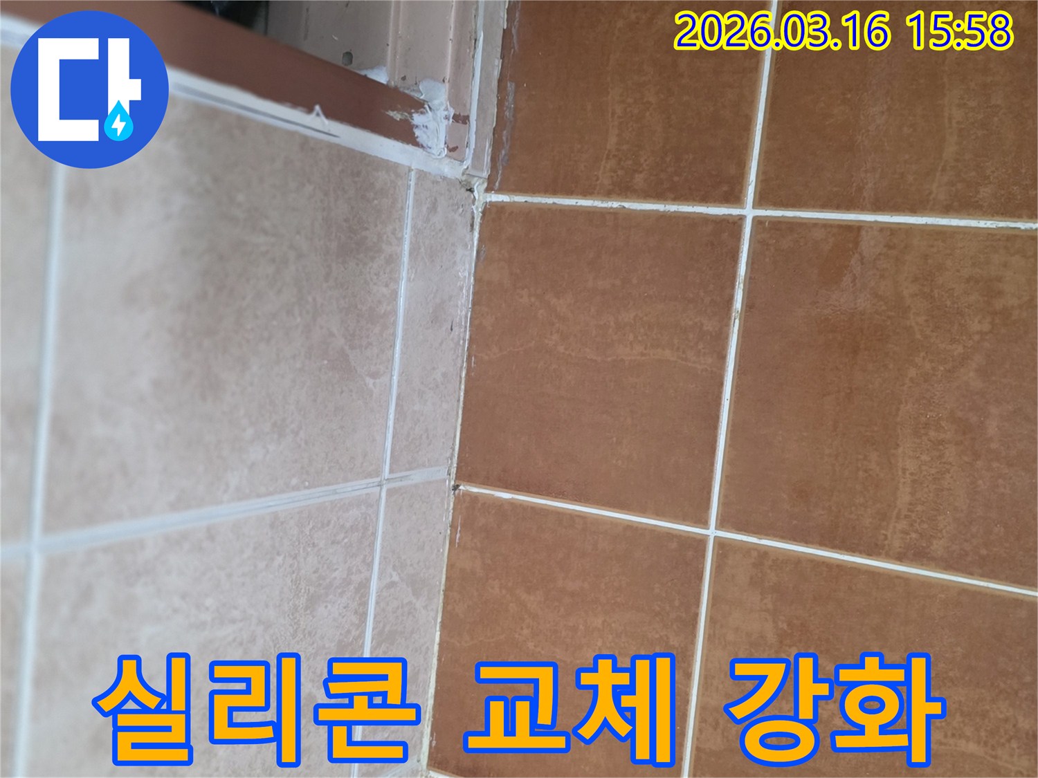 욕실 벽 타일과 바닥 타일의 경계면-그리고 샤워부스 주변의 오래된 실리콘 상태를 보여줍니다.