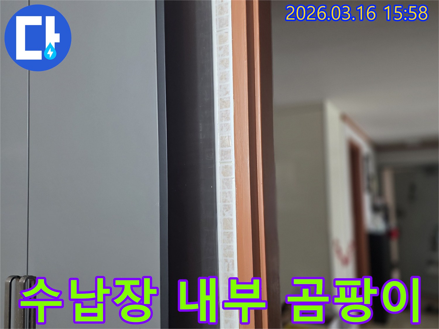 창문-아래-수납장-내부에-숨겨진-곰팡이-성장은-누수로-인한-건강-위협을-시사하며-정밀-탐지가-필요합니다