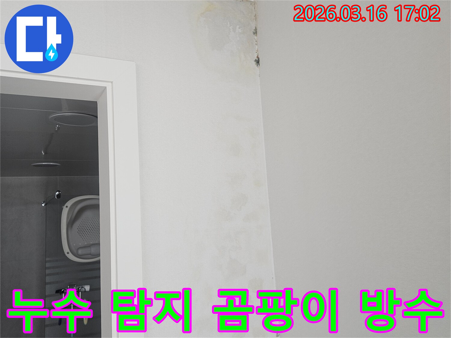 누수 탐지 및 공사 후-천장 곰팡이 제거와 함께 방수 처리가 완료된 깨끗한 모습입니다