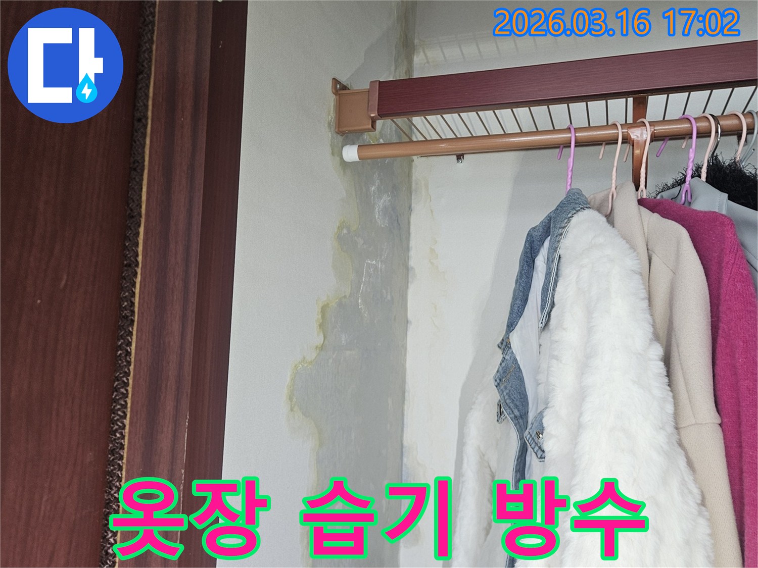 옷장 내부 벽면과 바닥에 누수로 인해 물기가 스며들고-누런 얼룩과 곰팡이가 발생한 현장