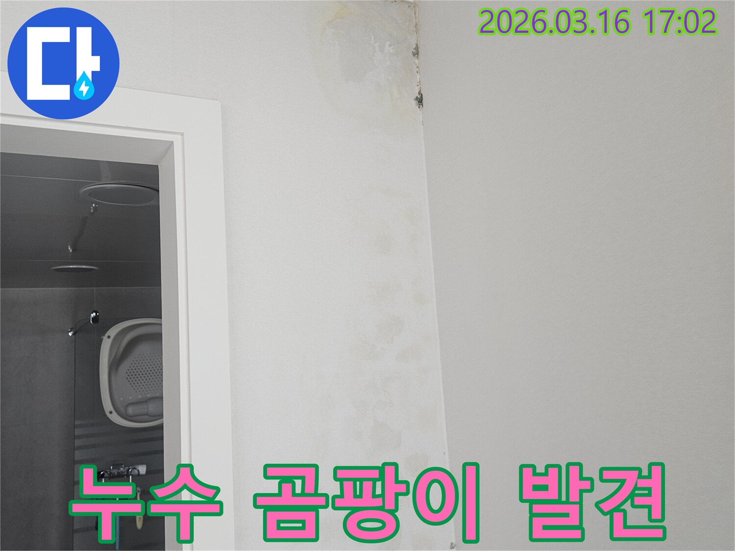 이 사진은-천장과 벽이 만나는 지점에-누수로 인한 곰팡이가-광범위하게 퍼져있는-상황을 보여주고 있습니다.