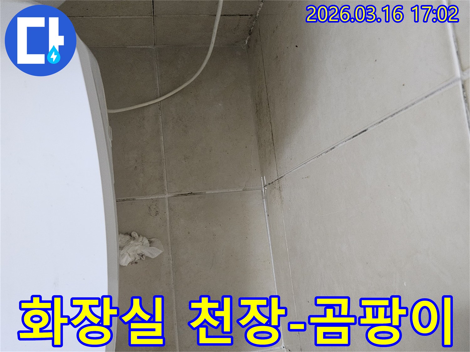 화장실 천장과 벽면 타일에 검게 번진 곰팡이와-물자국이 선명하게 보이는 누수 피해 현장입니다
