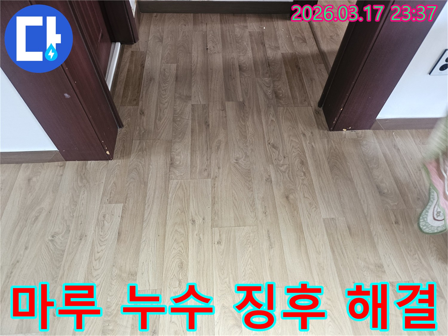 누수 발생으로 인한-바닥 마루의 미세한 징후를-정밀하게 탐지하기 위한-현장 점검 사진입니다.