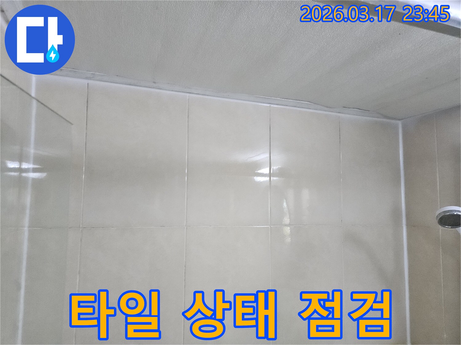 누수-엔지니어가-천장과-타일-벽면의-경계면에-발생한-누수-부위-주변의-타일-상태를-정밀하게-점검하는-모습입니다