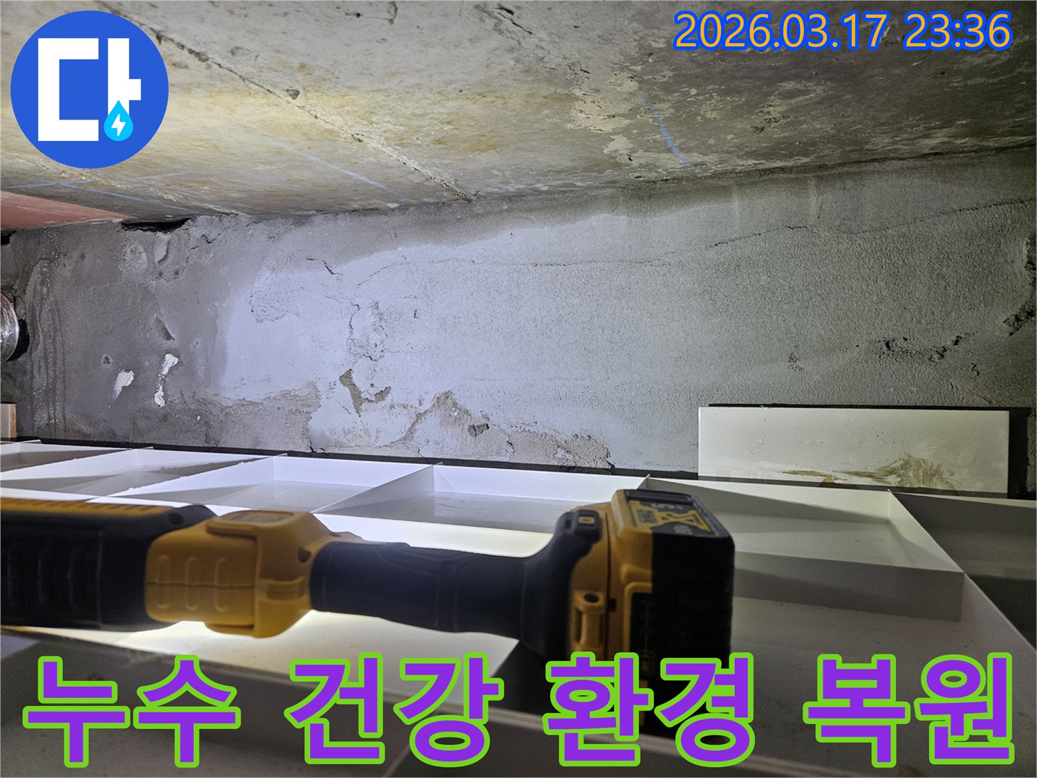 누수 전문 엔지니어가-천장 누수를 해결하여-건강하고 쾌적한 주거 환경을-복원하기 위해-정밀 진단을 진행하고 있습니다.