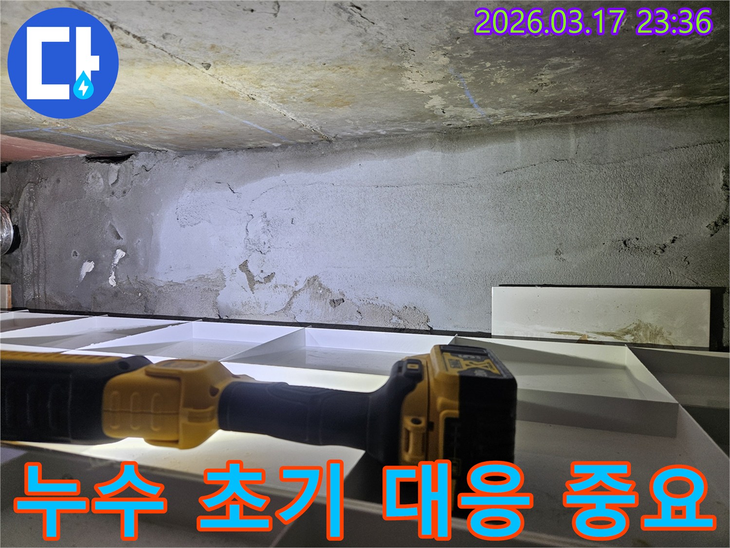 누수 전문 엔지니어가-천장 누수의 조기 발견을 통해-피해를 최소화하기 위한-정밀 진단을 진행하고 있습니다.