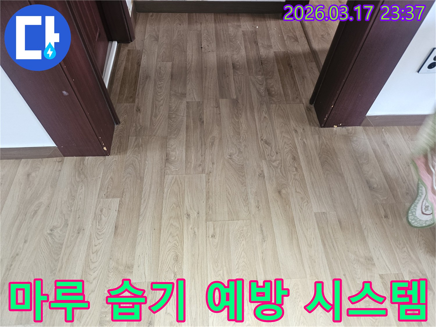 누수로 인한 바닥 마루의-습기 정도를 정확히 측정하고-분석하기 위한-전문 장비 사용 전 사진입니다.
