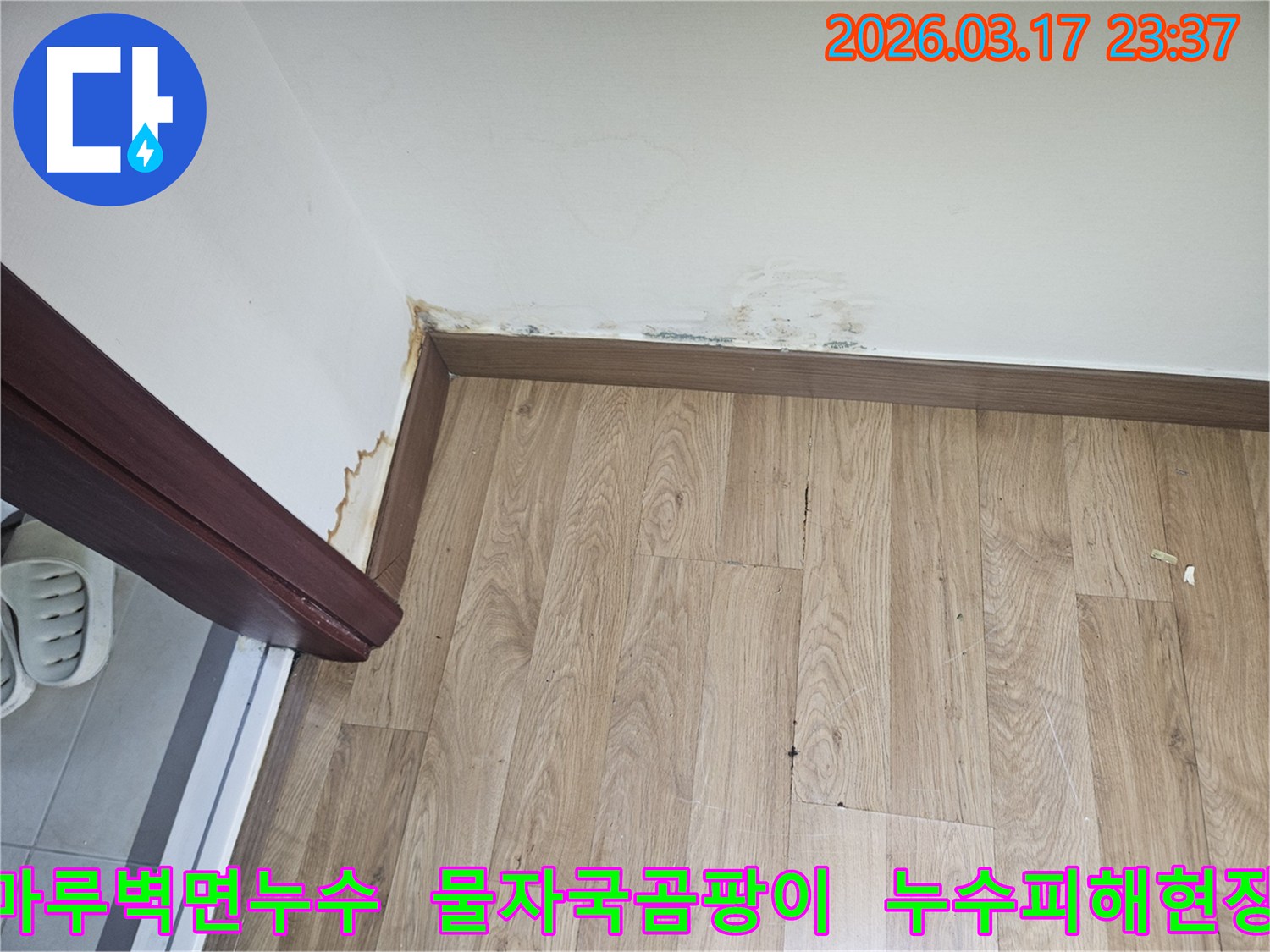 누수로 인해 마루바닥과-벽면에-물자국과-곰팡이가-발생한-현장-사진입니다