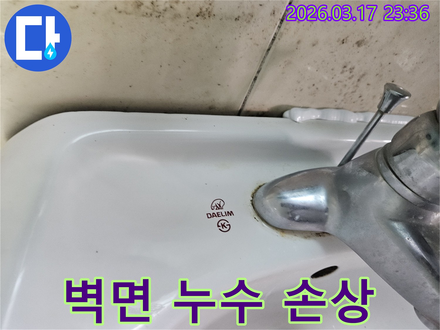대림 세면대 벽면에- 넓게 퍼진 곰팡이와- 수도꼭지 주변의- 물샘 흔적을 보여주는 모습입니다