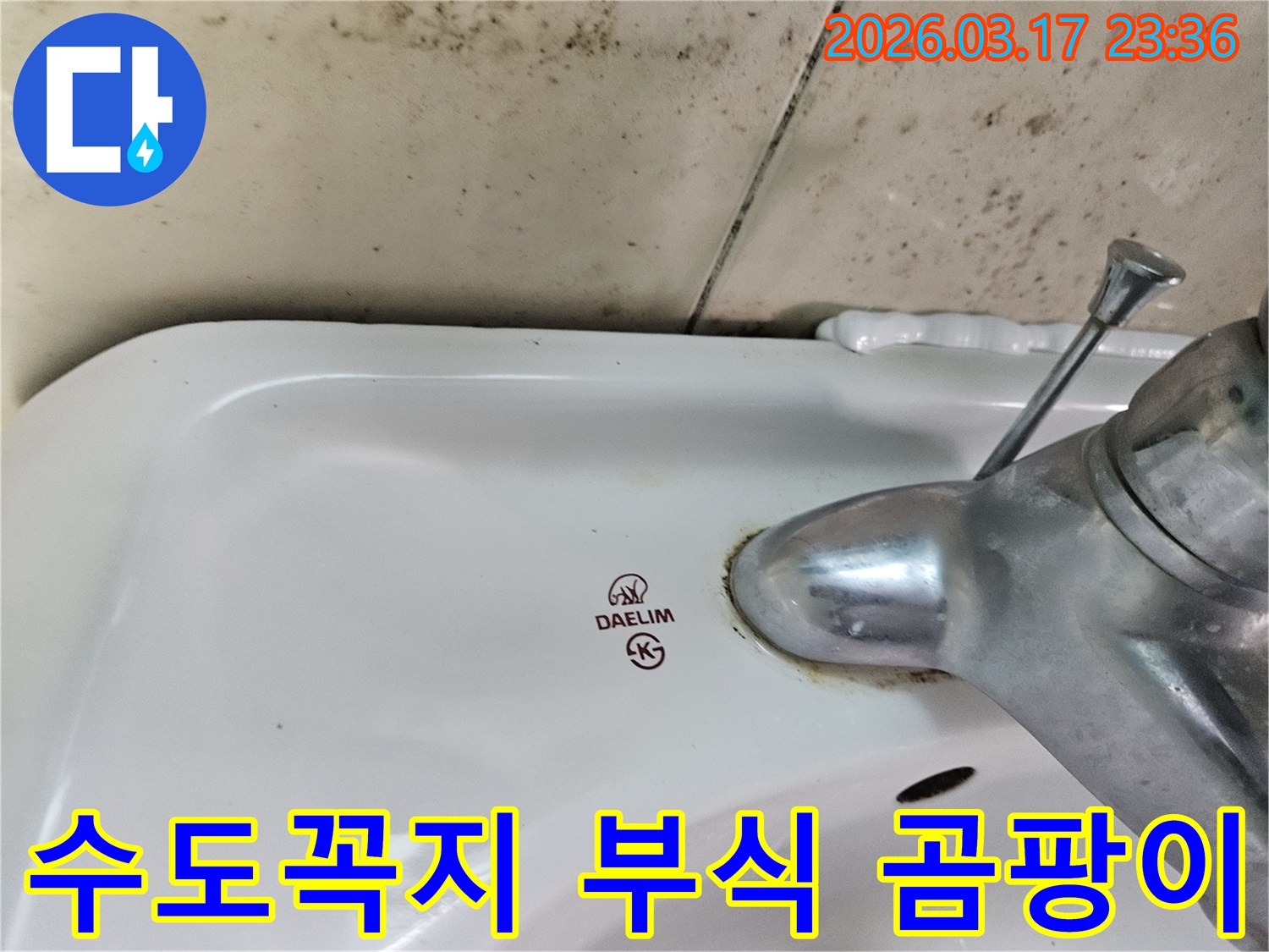 대림 세면대 주변 벽에- 검은 곰팡이가 번지고- 수도꼭지 하단에- 녹이 슨 모습을 보여줍니다