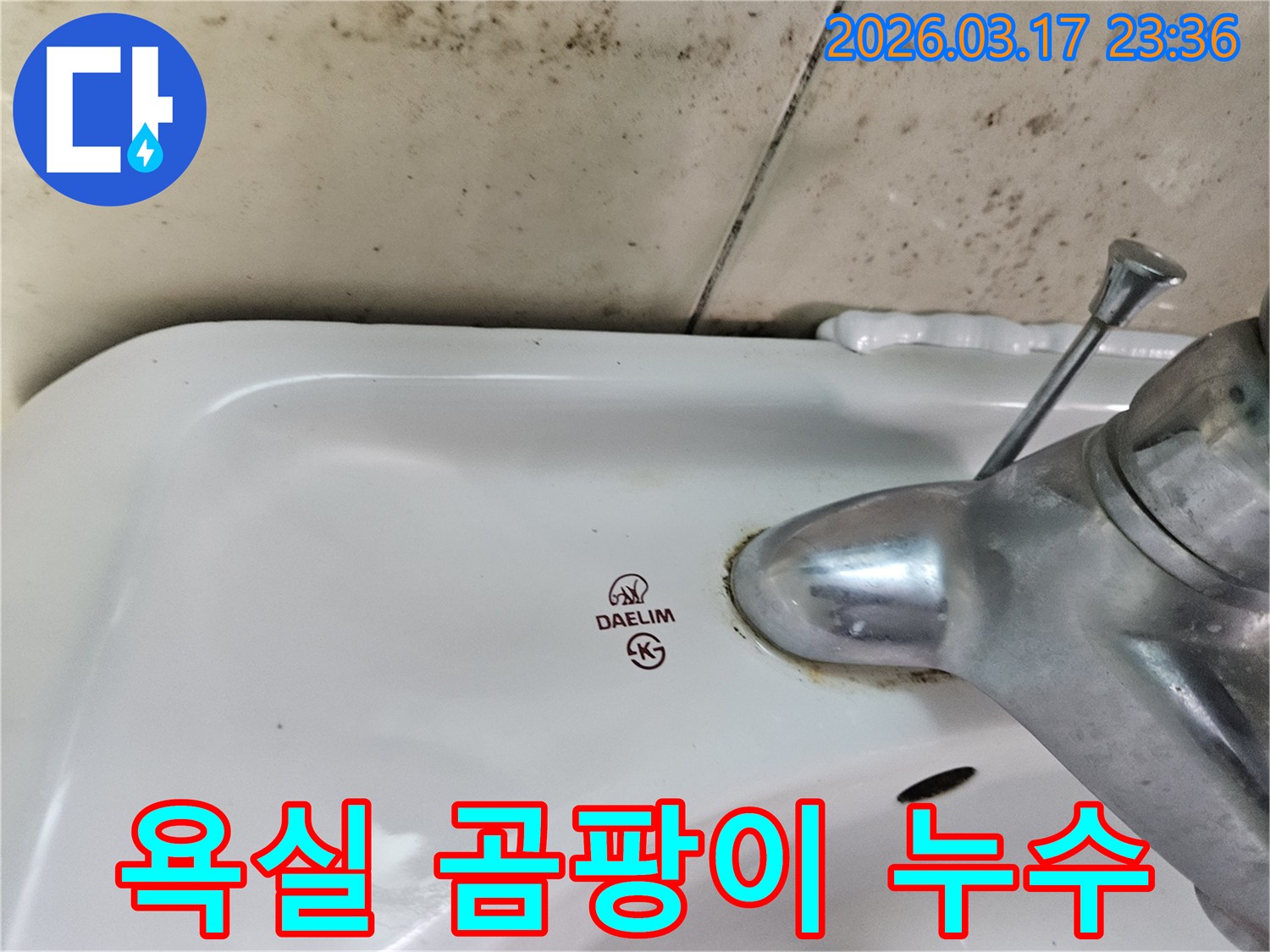 대림 세면대 주변 벽에- 심각하게 번식한 곰팡이와- 수도꼭지 하단의- 누수 흔적을 보여주는 모습입니다