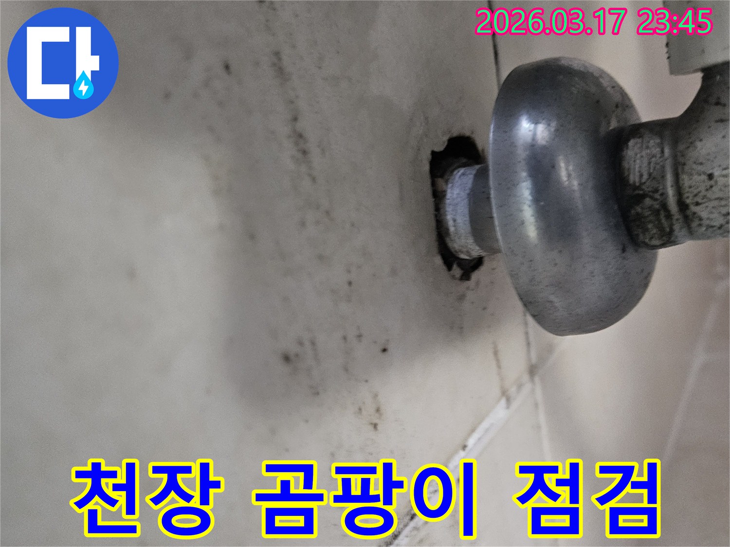 배관 연결 부위에서 시작된 누수-천장으로 번진 곰팡이 흔적입니다