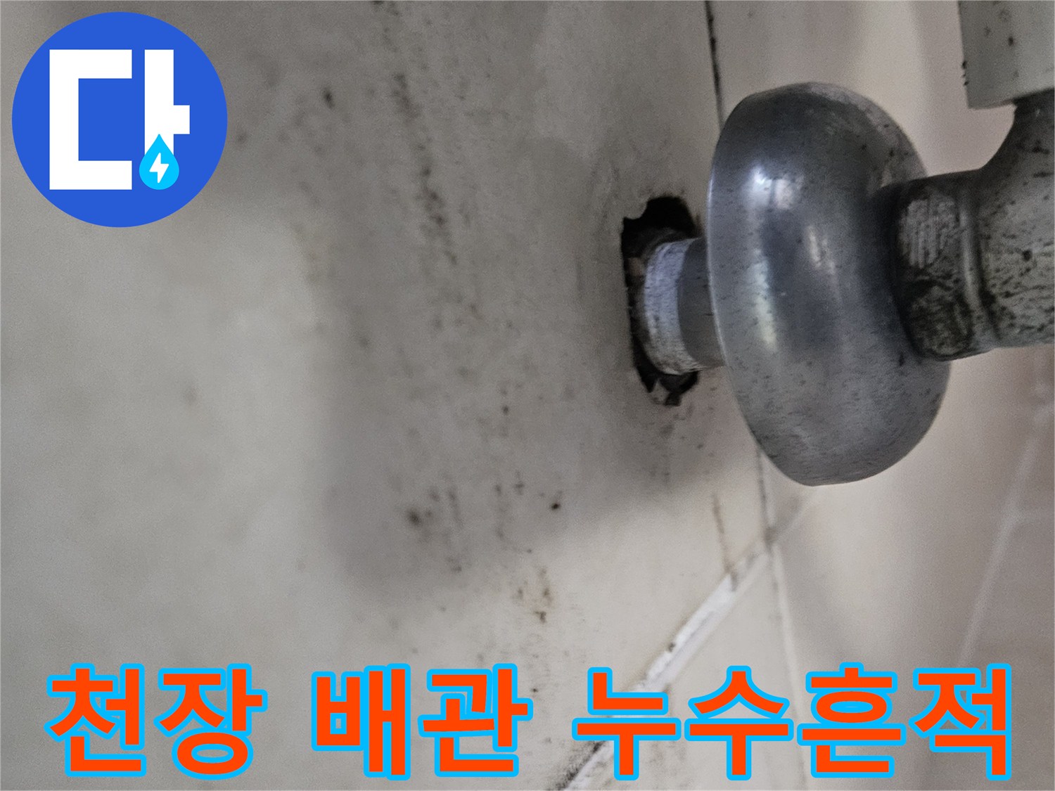 배관 주변의-물에 젖은 천장 마감재와 변색 부위