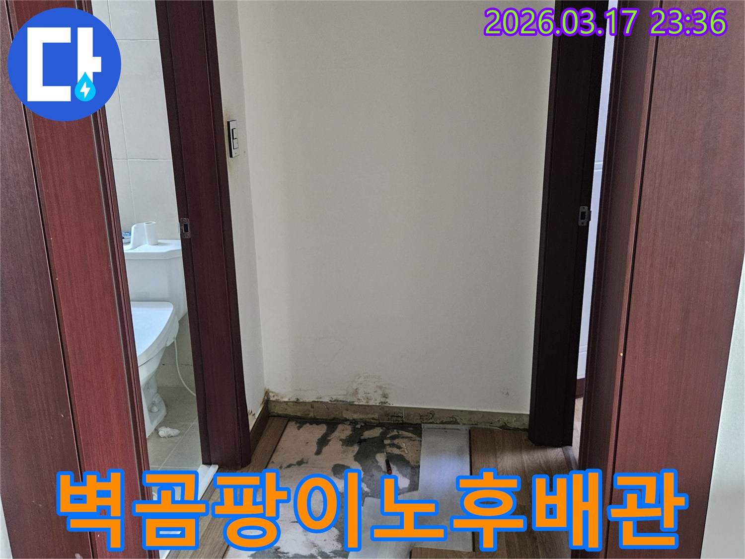 병점 아파트 누수 현장에서-벽면 내부 곰팡이와-노후 배관 파열로 인한 피해를-확인하고 수리하는 모습입니다.