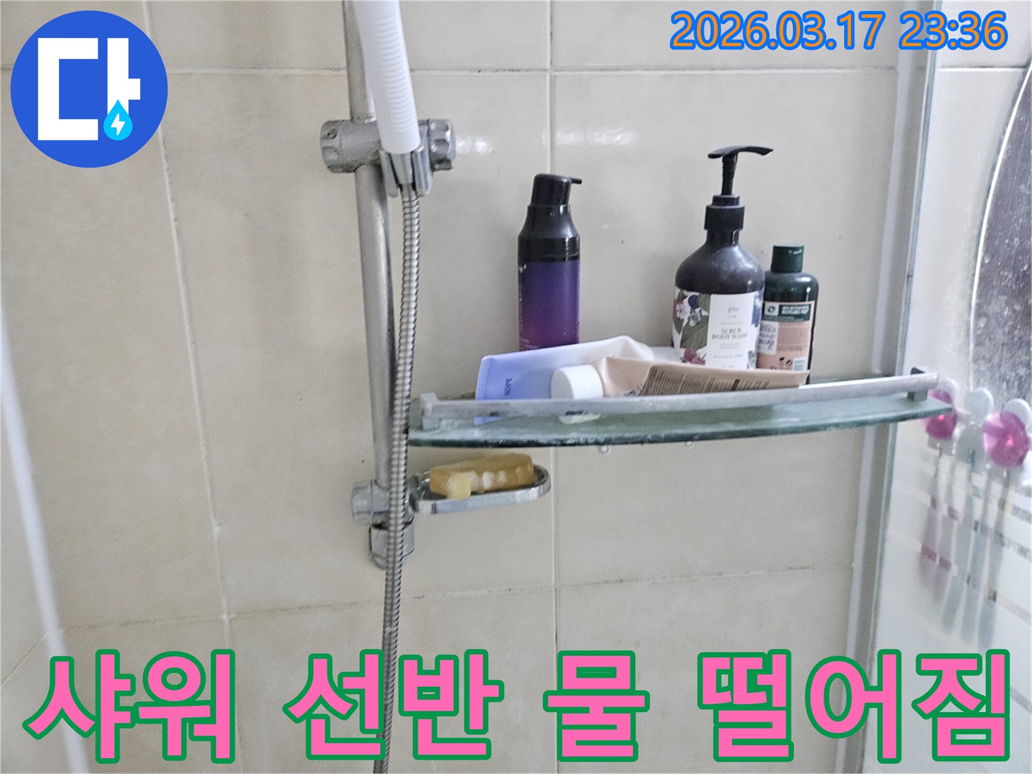 샤워 부스 내-유리 선반 밑으로-물방울이 맺혀-떨어지기 직전의-누수 현장을 담은 이미지입니다