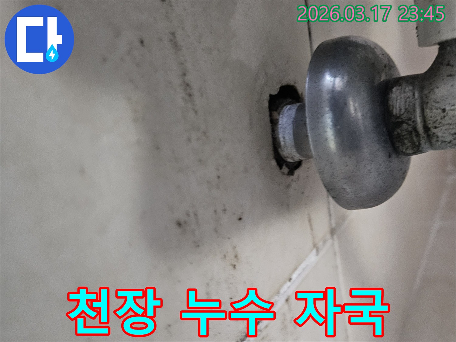 오랜 시간 지속된 누수로 인해-천장 마감재가 손상되고 곰팡이가 번식했습니다