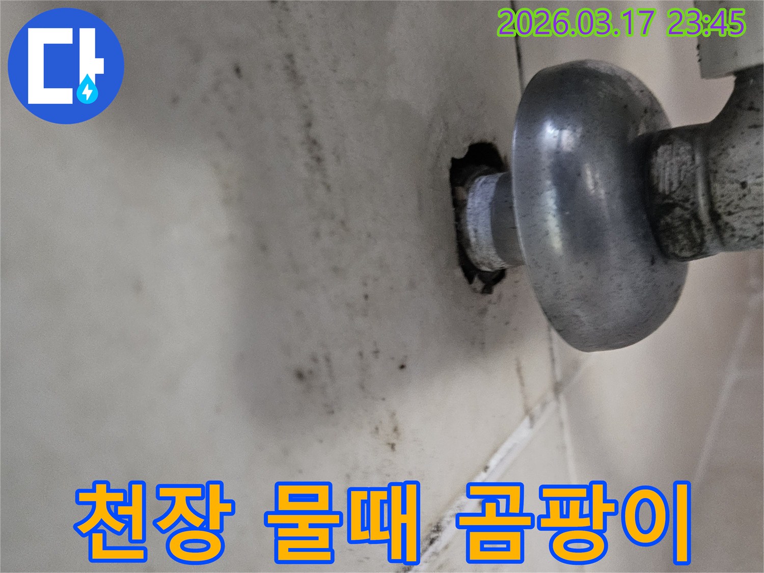 오랜 시간 지속된 누수로 인해-천장 마감재가 손상되고 곰팡이가 번식했습니다
