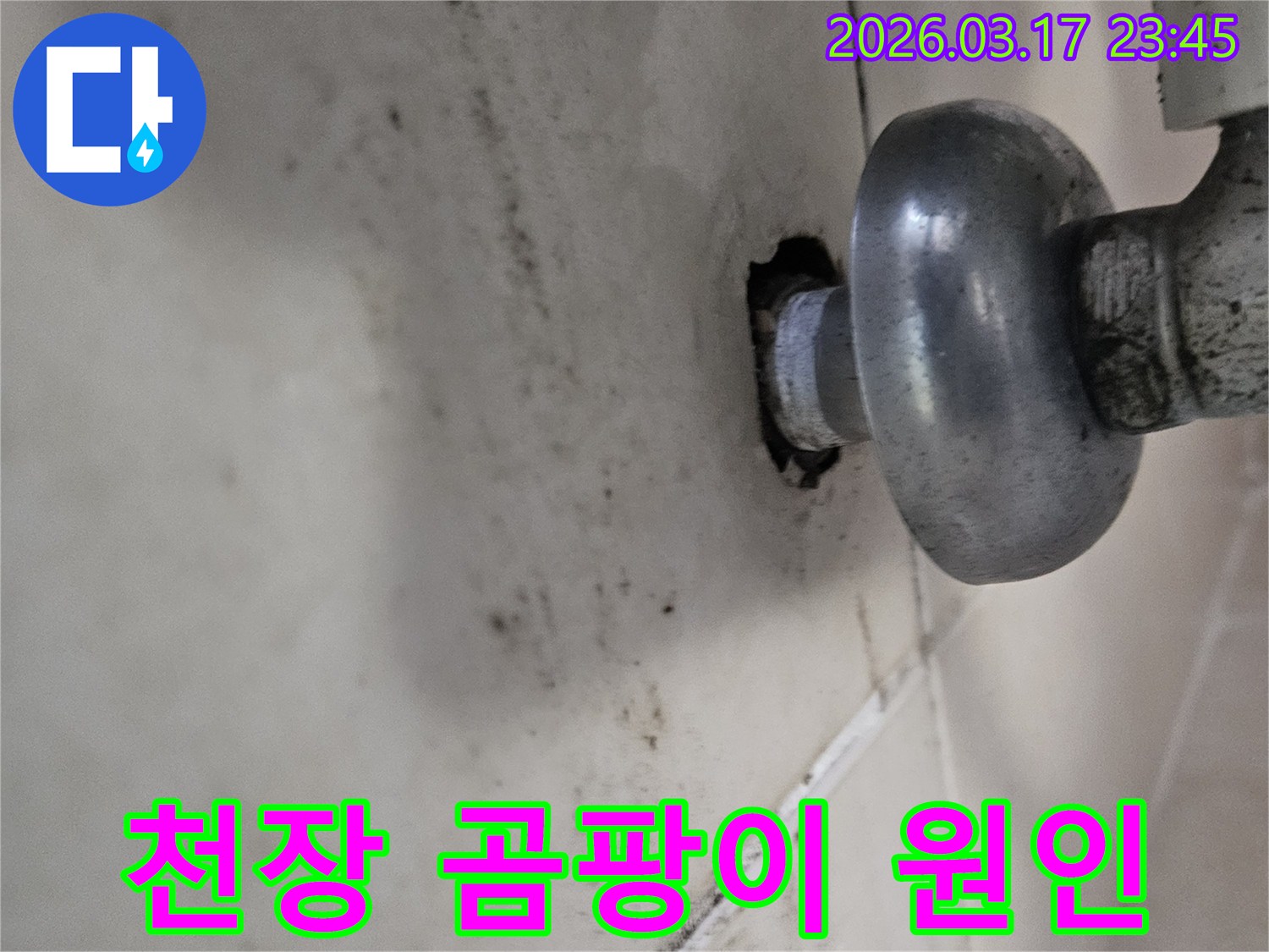 이 사진은 천장 배관 주변의 누수로 인해-곰팡이와 물때가 심하게 생긴 모습을 보여줍니다