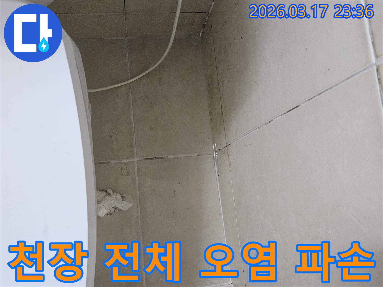 이-사진은-천장-타일의-광범위한-오염과-한쪽-구석의-파손을-보여주며-이는-누수로-인한-천장-전체적인-손상을-시사합니다