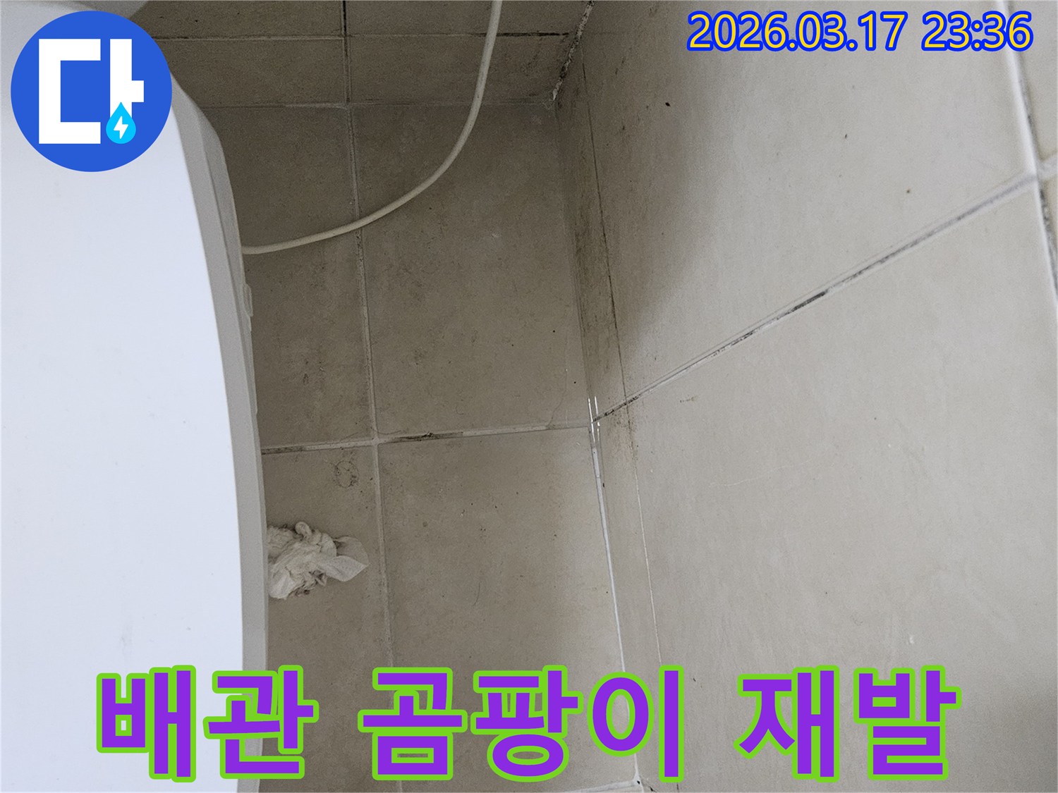 이-이미지는-벽면을-따라-지나가는-흰색-배관-주변에-다시-발생한-검은-곰팡이를-보여주며-이는-기존-보수-후에도-배관-누수가-지속되고-있음을-시사합니다