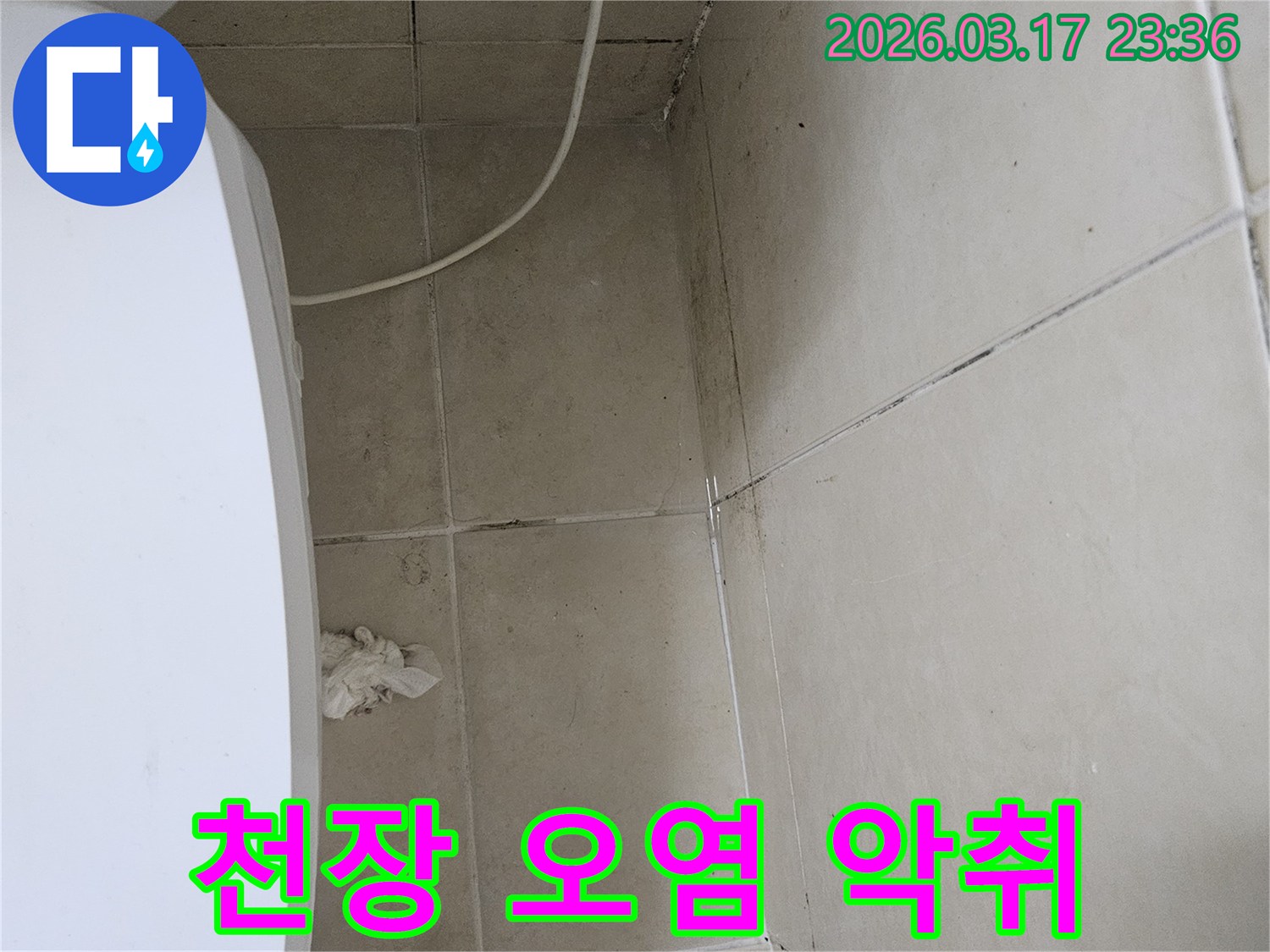 이-이미지는-욕실-천장-타일의-광범위한-오염과-변색-그리고-주변에-번진-곰팡이를-보여주며-이는-누수로-인한-악취와-불쾌한-환경을-나타냅니다