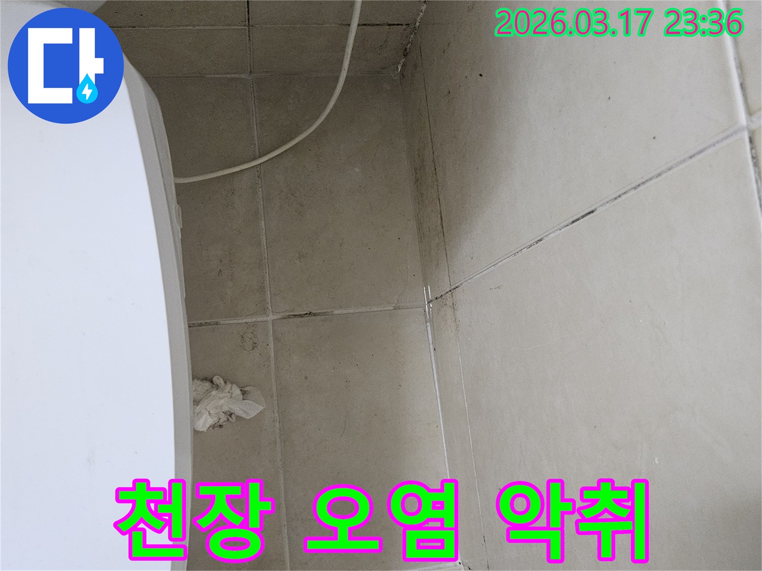 이-이미지는-욕실-천장-타일의-광범위한-오염과-변색-그리고-주변에-번진-곰팡이를-보여주며-이는-누수로-인한-악취와-불쾌한-환경을-나타냅니다