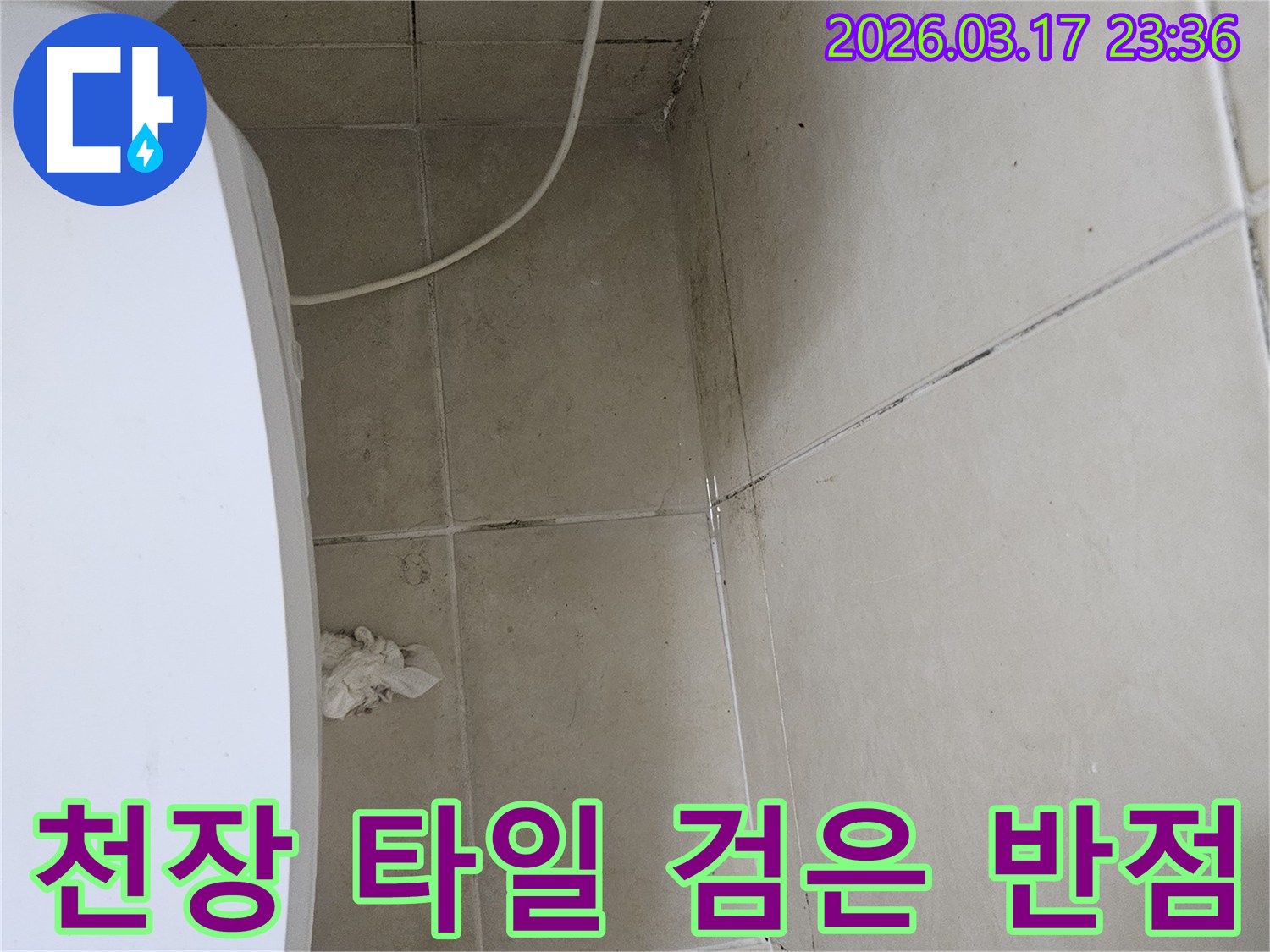 이-이미지는-천장-타일-곳곳에-발생한-검은-반점과-오염을-보여주며-이는-누수로-인한-지속적인-물방울-침투를-의미합니다