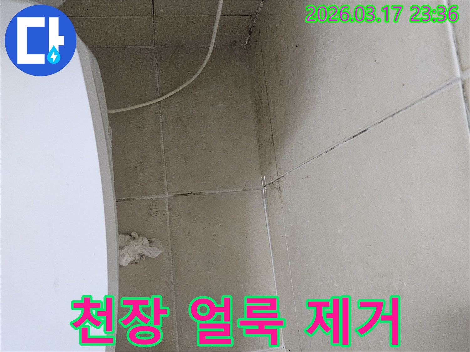 이 이미지는-천장-타일과-벽면-모서리에-발생한-짙은-얼룩과-곰팡이를-보여주며-이는-누수로-인한-지속적인-습기-침투를-의미합니다