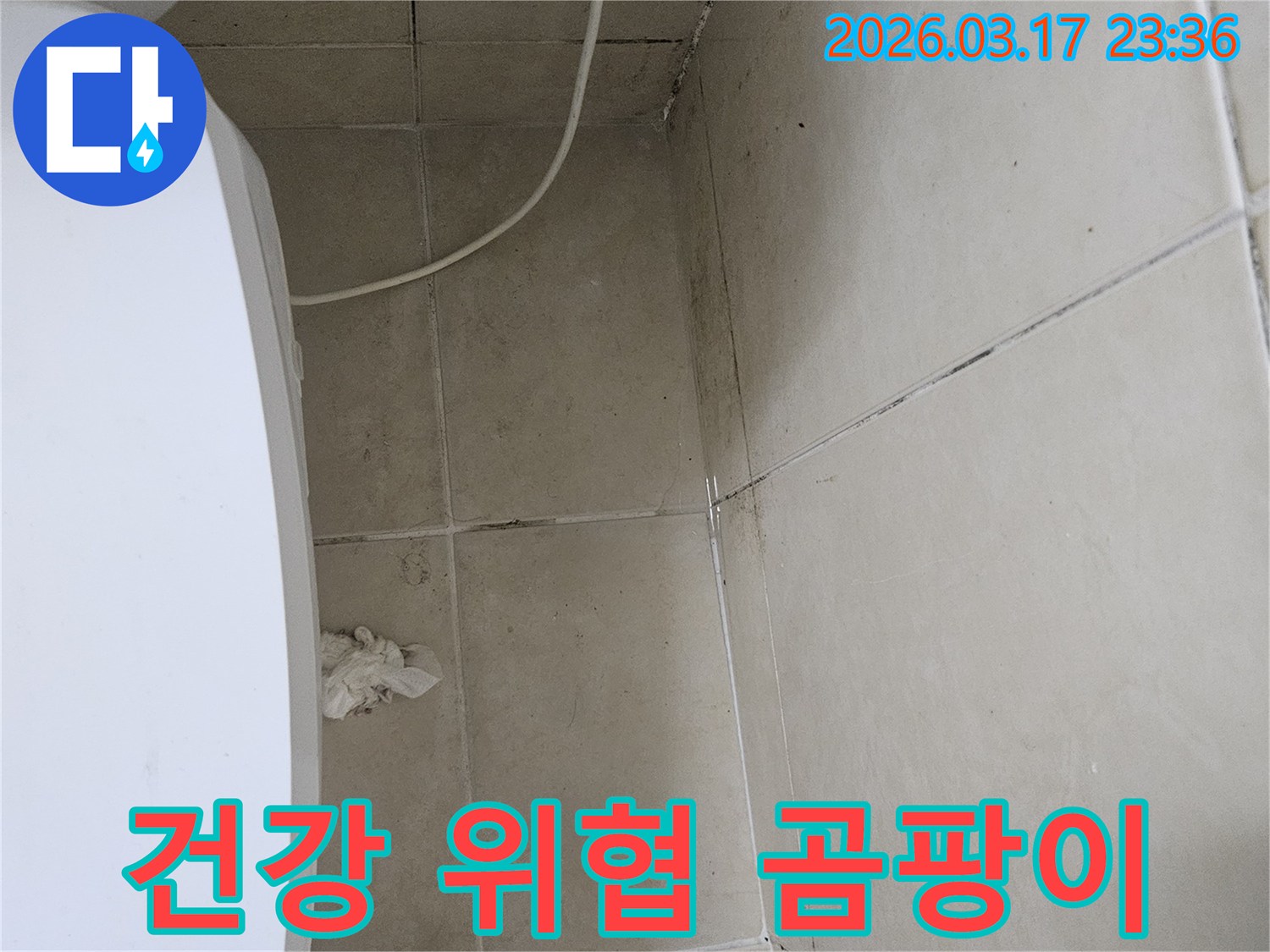 이-이미지는-천장과-벽면-타일에-발생한-심각한-검은-곰팡이를-보여주며-이는-누수로-인한-건강-위협과-환경-오염을-시사합니다