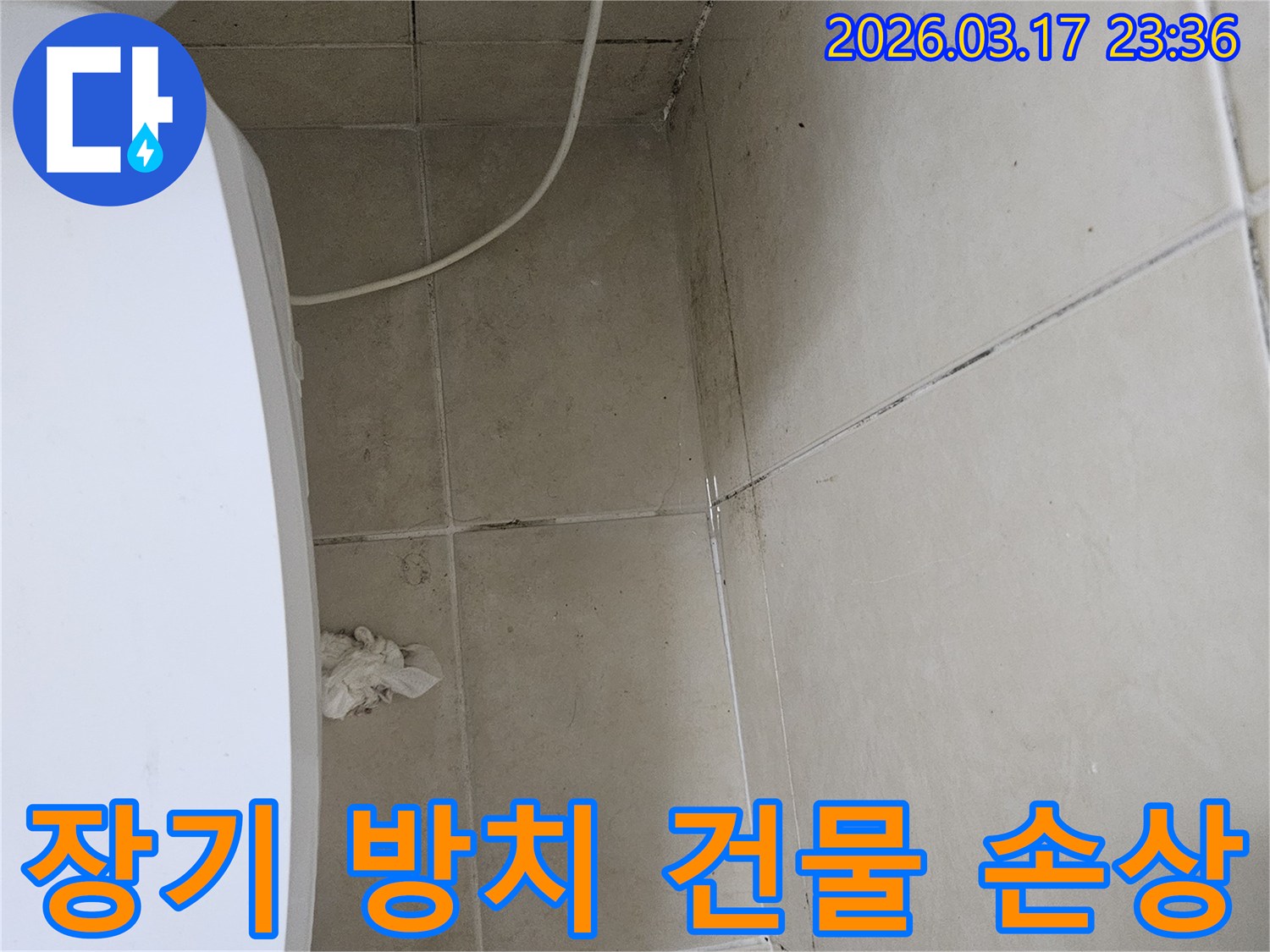 이-이미지는-천장과-벽면-타일에-심각하게-번진-곰팡이와-파손된-타일을-보여주며-이는-장기간-방치된-누수로-인한-광범위한-건물-손상을-나타냅니다