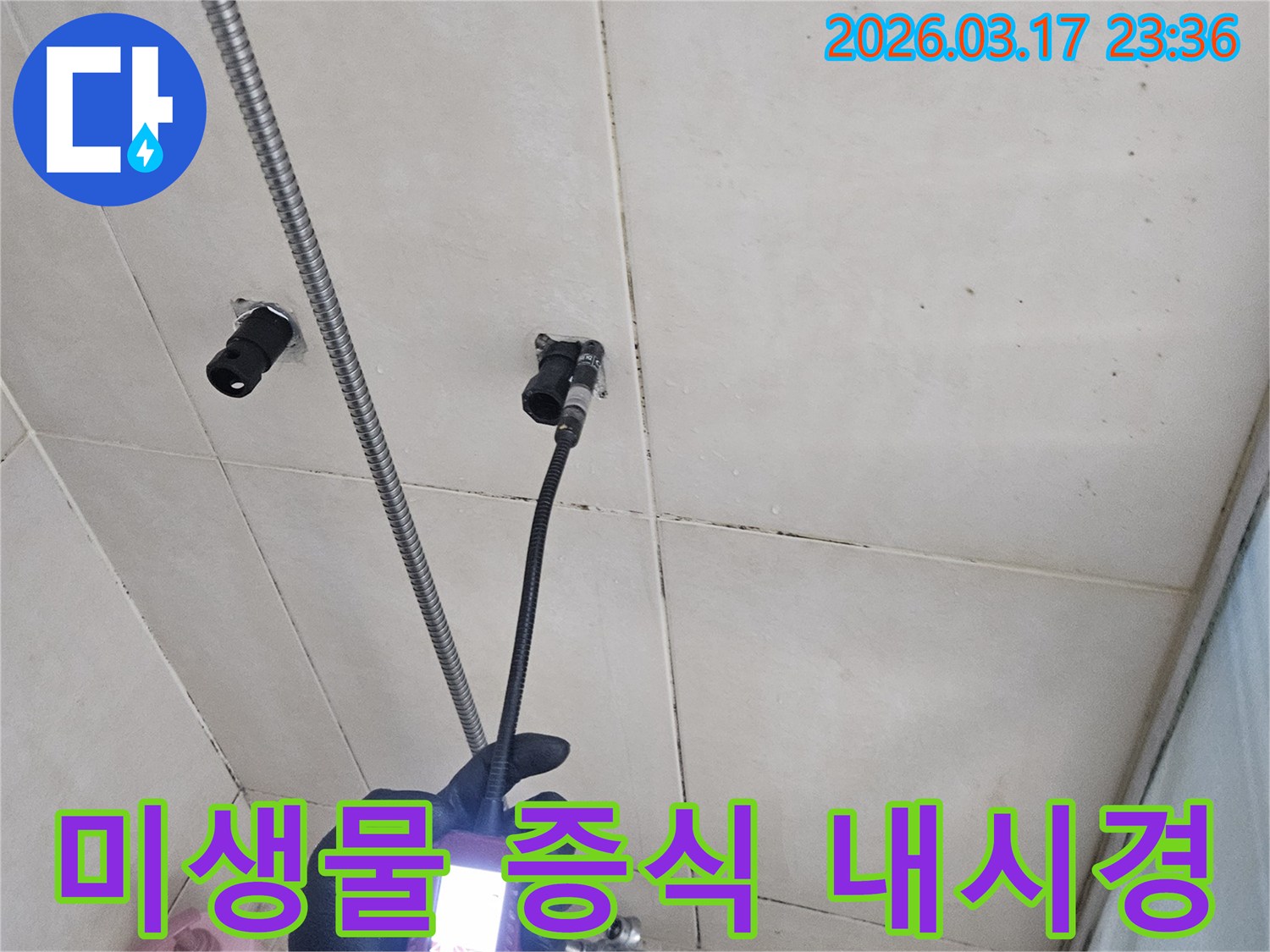 전문-엔지니어가-내시경-카메라를-사용하여-배관-내부의-미생물-증식-여부를-확인하고-위생-상태를-진단하는-모습입니다
