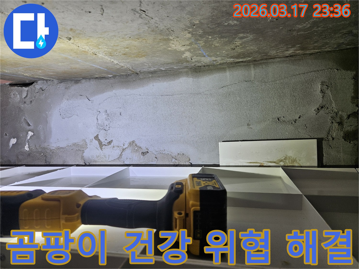 전문 엔지니어가-누수로 인한 곰팡이 발생 위험 부위를 확인하고-정밀 탐지 장비로-누수 원인을 진단하여 건강을 보호합니다.