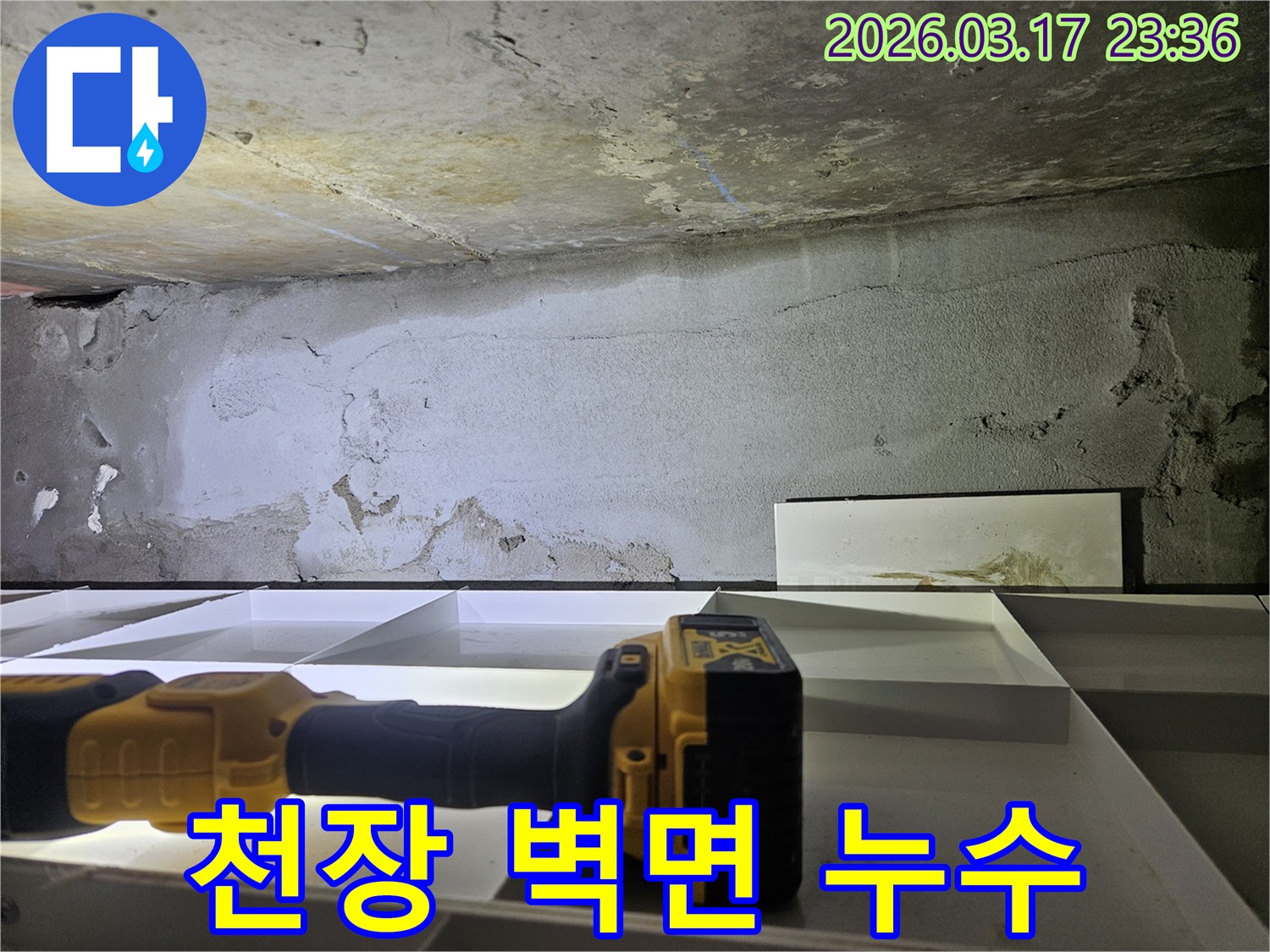 전문 엔지니어가-천장과 벽면의 광범위한 누수 흔적을-정밀 탐지 장비로-꼼꼼하게 진단하고 있습니다.