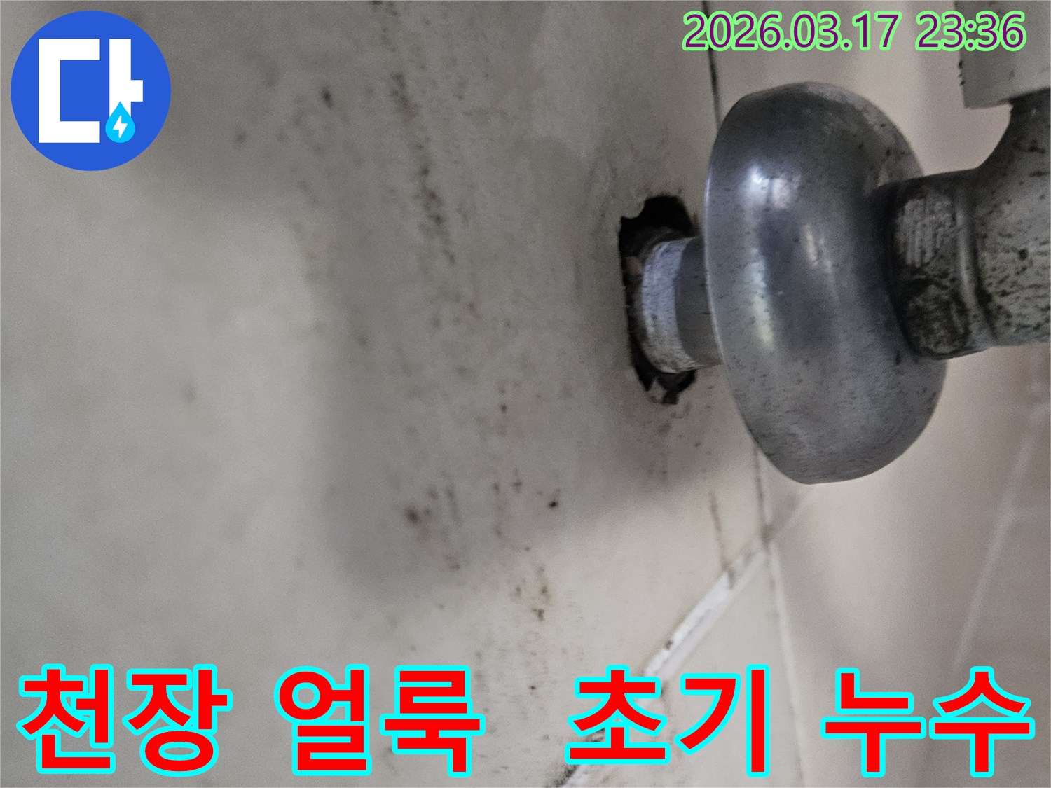 천장-배관에서-발생한-누수로-인해-생긴-초기-얼룩과-곰팡이-징후를-보이는-모습