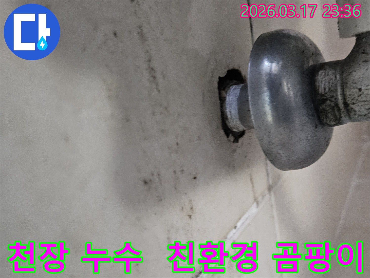 천장-배관에서-발생한-누수로-인해-오염된-벽면과-친환경-곰팡이-제거가-필요한-배관-모습