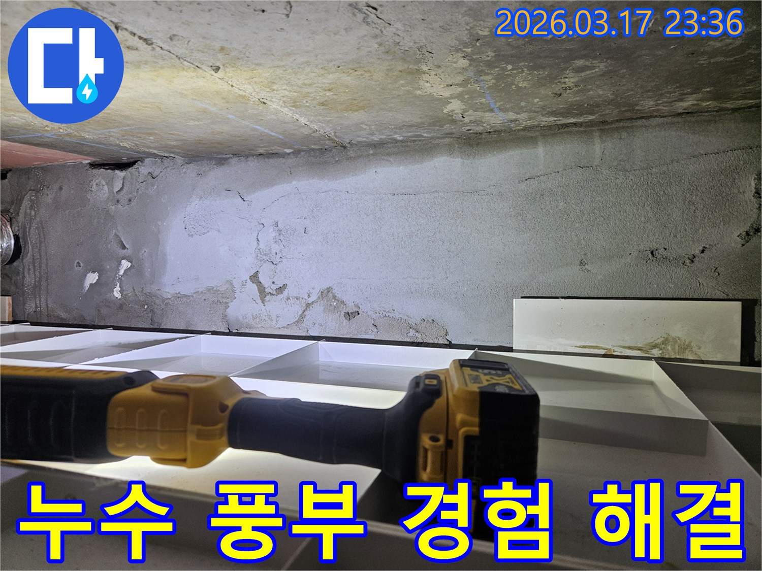 풍부한 경험을 가진-누수 전문 엔지니어가-천장 누수 현장에서-정확한 진단을 진행하고 있습니다.