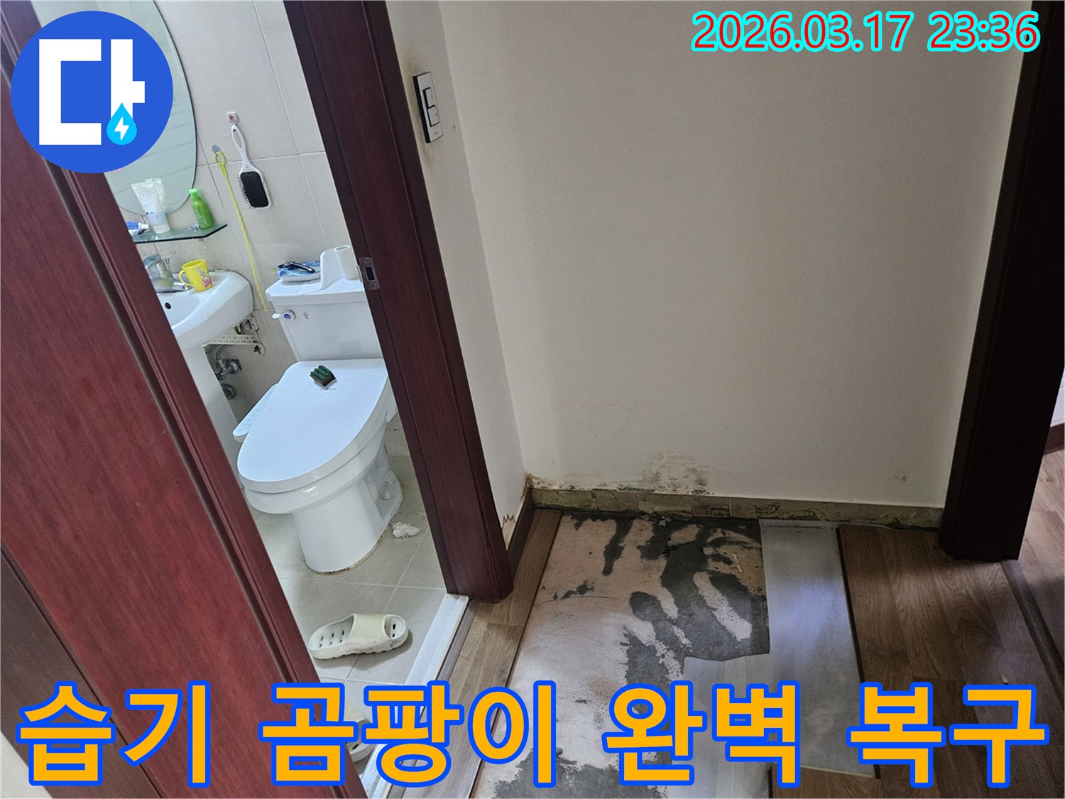 화성-병점 빌라의-화장실 입구 바닥에-누수로 인한 습기와-곰팡이가 발생하여-바닥재가 제거된-현장 사진입니다