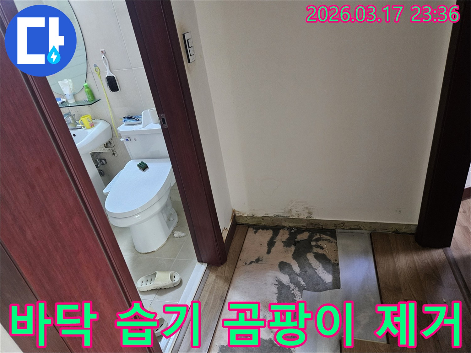 화성 병점 상가-화장실 입구 바닥에-누수로 인한 습기와-곰팡이가 발생하여-바닥재가 제거된-현장 모습입니다
