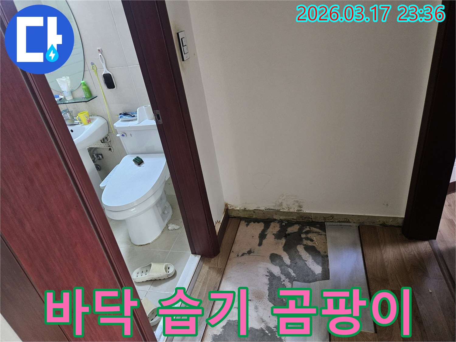 화성 병점 아파트-화장실 입구 바닥에-누수로 인한 습기와-곰팡이가 발생하여-바닥재가 제거된-현장 모습입니다