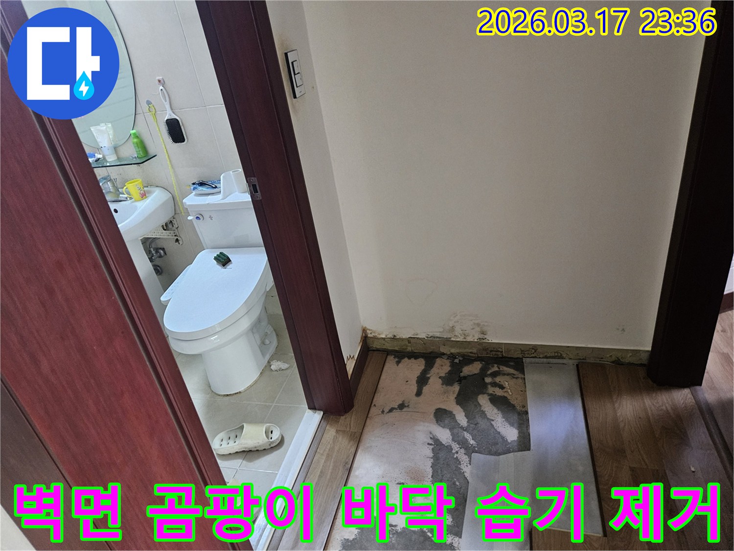 화성 병점 지역-주택 화장실 입구의-누수로 인해-바닥재가 제거되고-벽면에 곰팡이가 발생한-현장 모습입니다