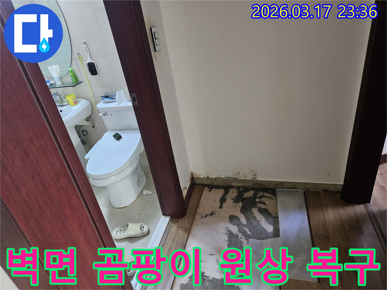 화장실 입구 벽면 하단에-누수로 인한-심각한 곰팡이가 발생하여-바닥재가 제거된-현장 사진입니다