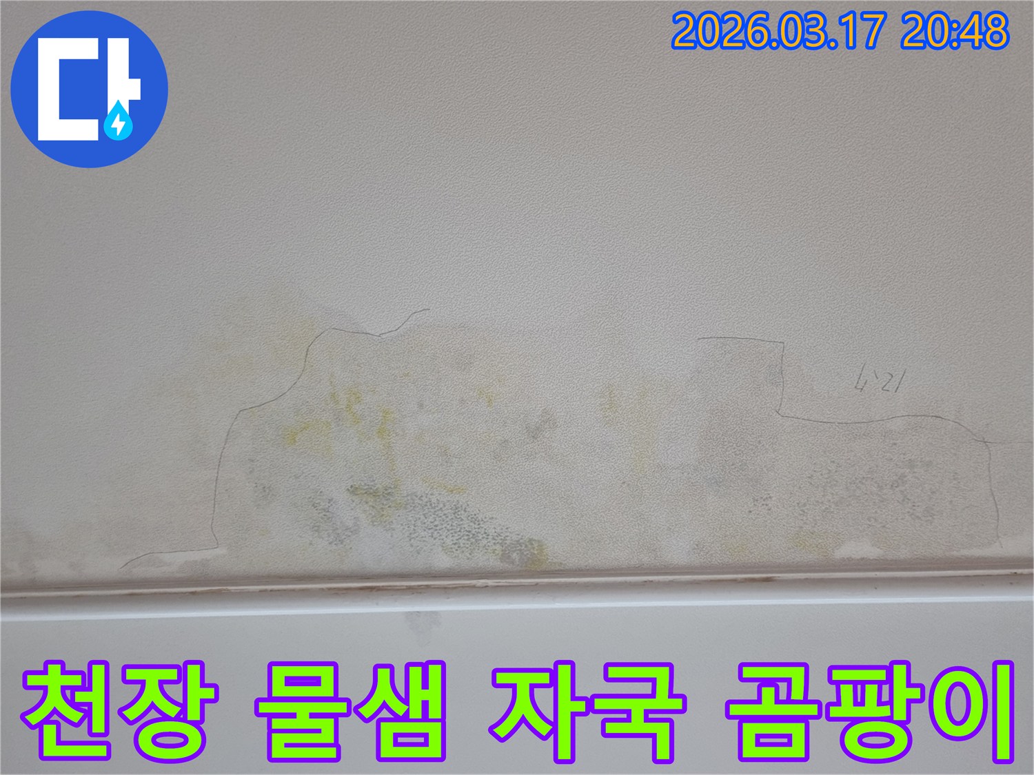 누수 발생으로 천장에 생긴 젖은 흔적과 곰팡이-신속한 조치가 필요합니다