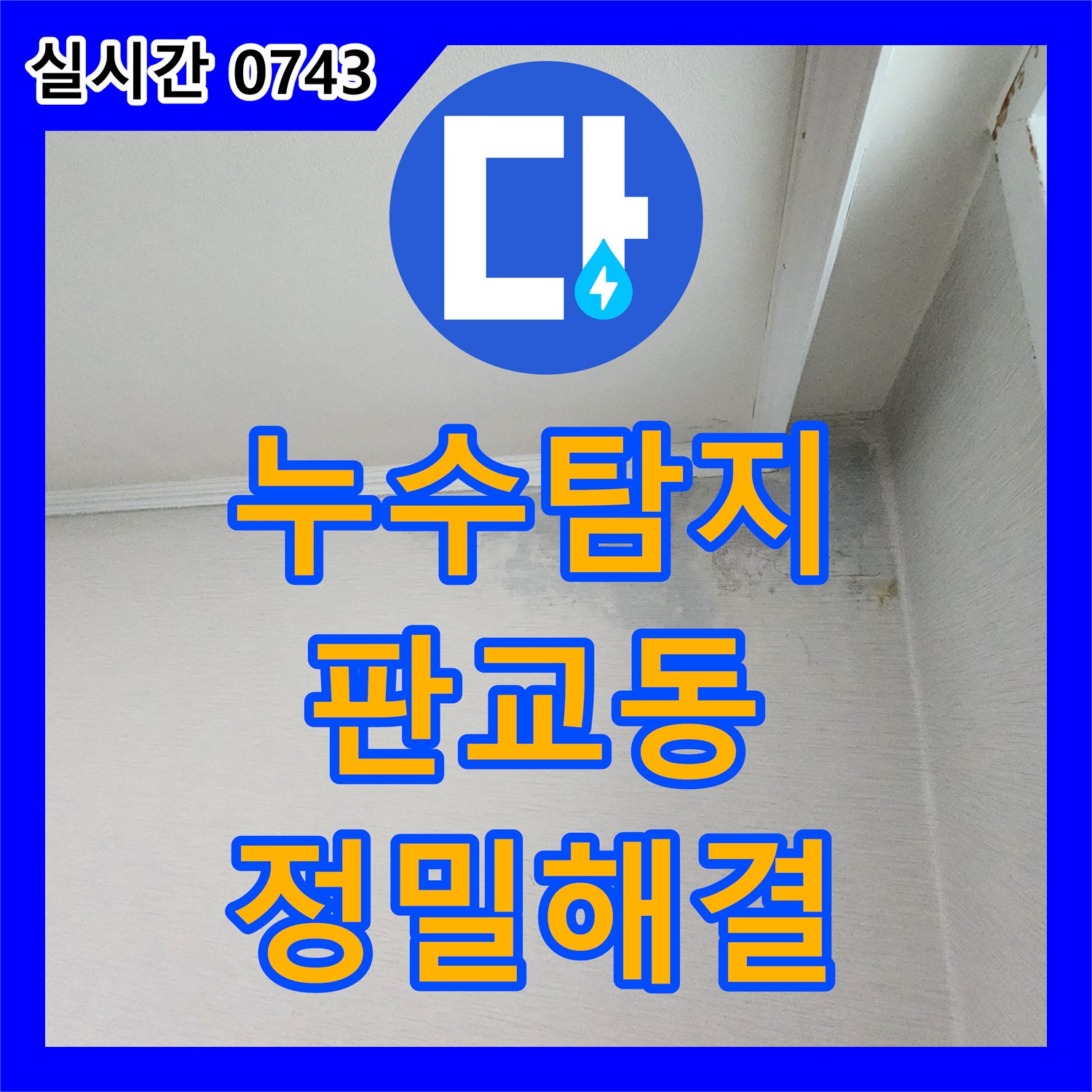 누수탐지전문 첨단 장비로 미세 누수 지점 정확하게 확인 및 해결 성남시 분당구 판교동