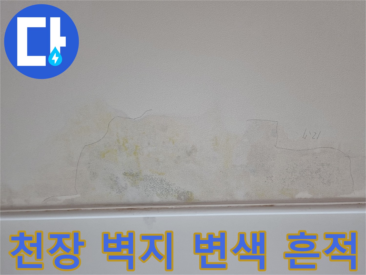 분당 아파트 천장-벽지 변색 및 곰팡이 발생 부위