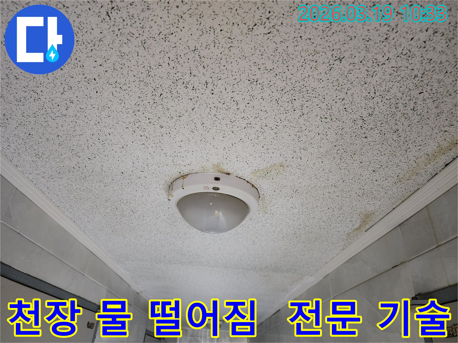 천장 조명 주변에서 물이 새어 얼룩진-누수 피해 현장 이미지-전문 기술로 해결