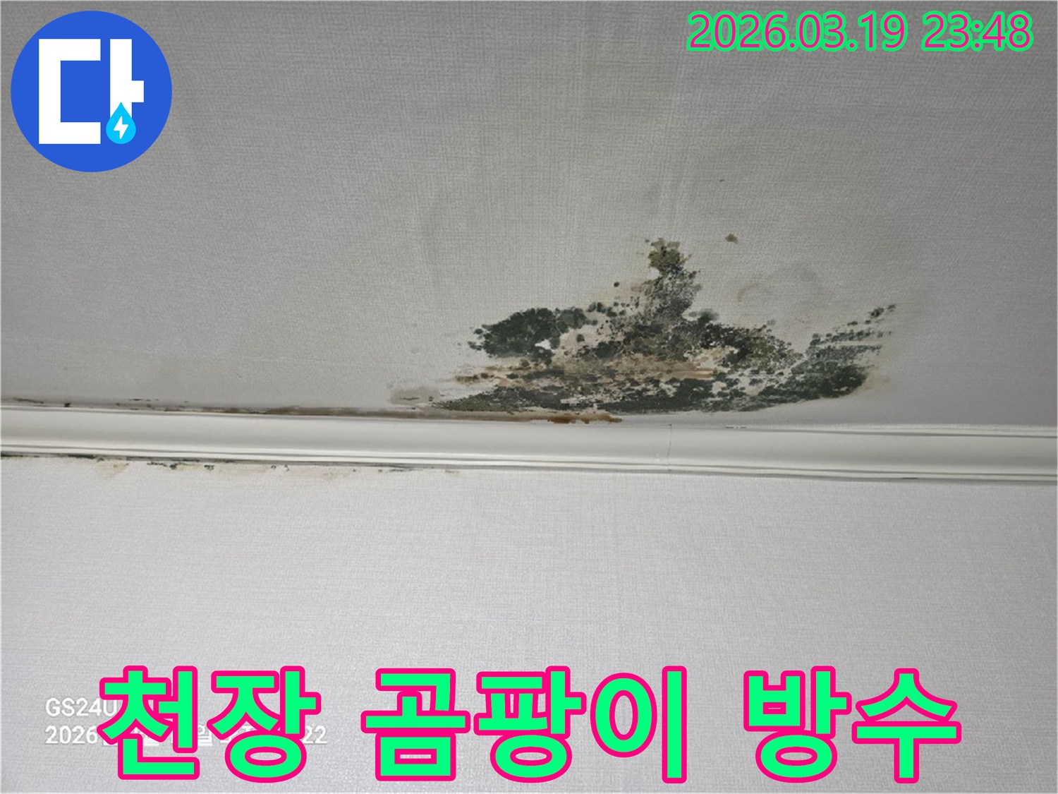천장-벽지에-발생한-심각한-누수-곰팡이-오염-현장으로-방수-공사가-필요한-상태