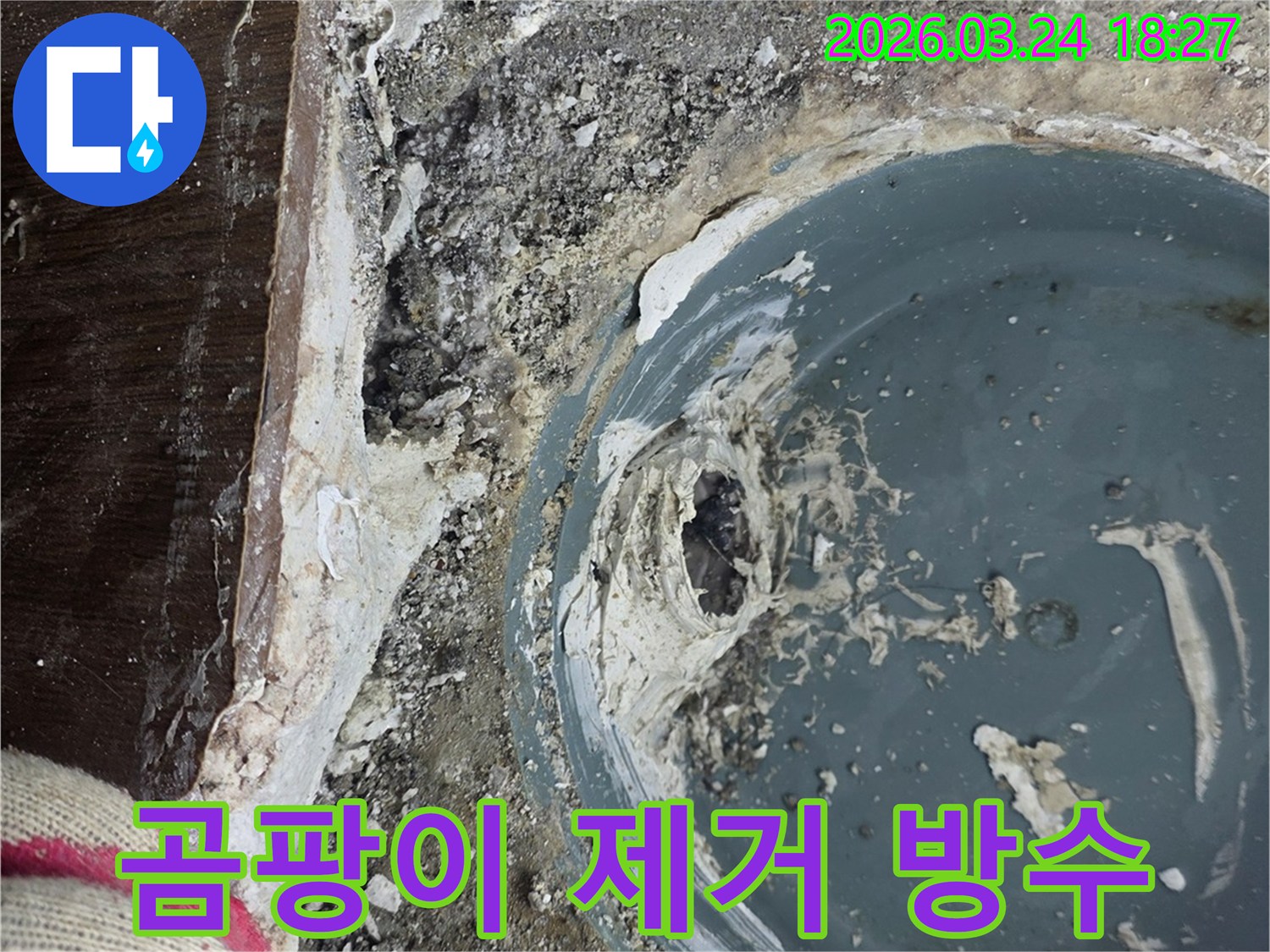 욕실 배수구 주변 물샘으로 인한 곰팡이를 제거하고 방수 처리 중인 현장입니다.