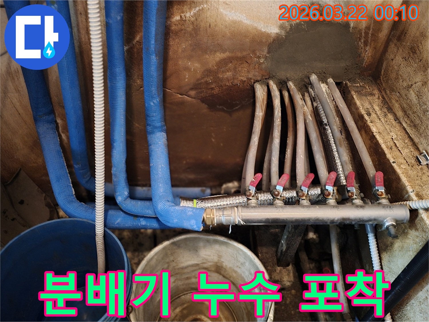 파란색 보온재로 감싸진 배관과- 여러 개의 밸브가 달린 분배기- 그리고 누수로 인해 물을 받고 있는 양동이가 함께 찍힌 사진입니다.