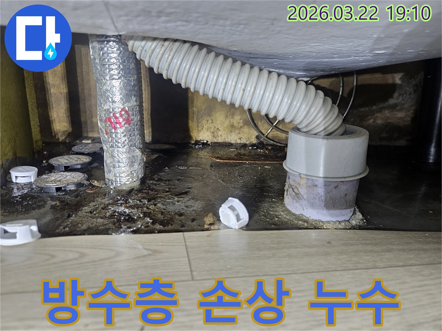 바닥 배수구 주변 방수층 손상으로-누수가 발생하여-오염된 현장을-전문가가 진단하는 모습