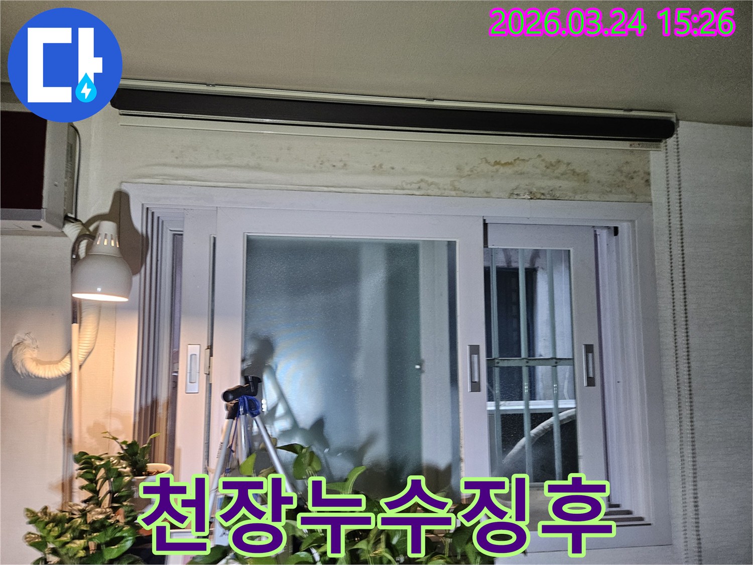주택-내부-창문-위쪽-벽면에-습기로-인해-생성된-곰팡이-오염-모습